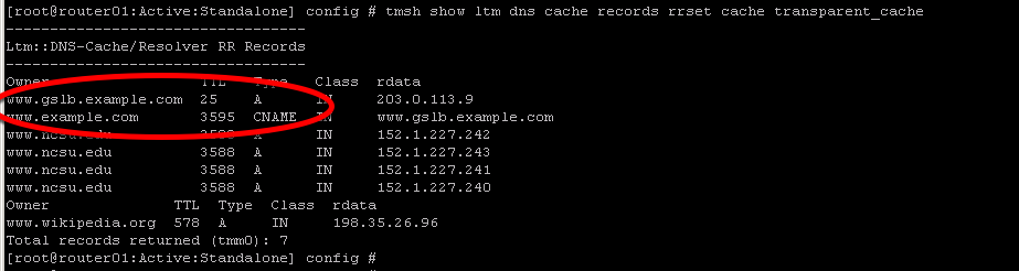 ../../../_images/tmsh_show_ltm_dns_cache_records.png